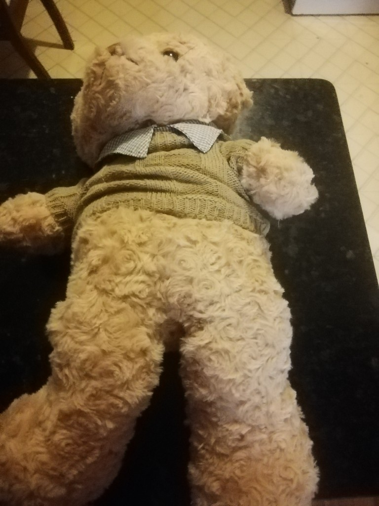 55-Urso castanho g