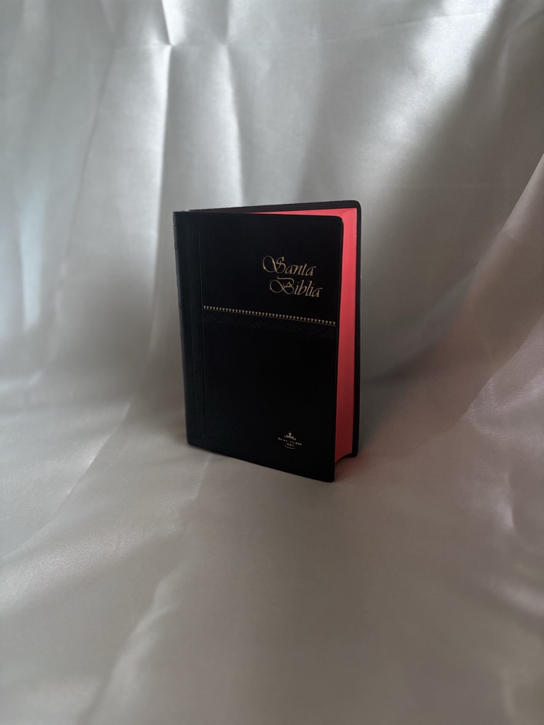 Biblia Negra Filos Dorados