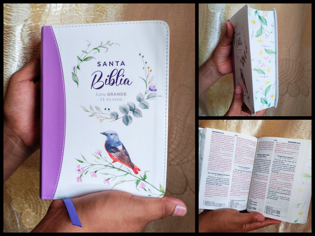 Biblia RVR60 portátil Letra Grande 11 puntos  canto pintado LILA PAJARO