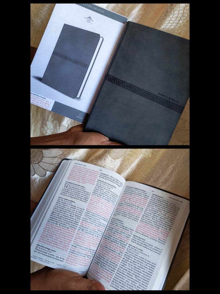 Biblia gris  letra grande 10.5