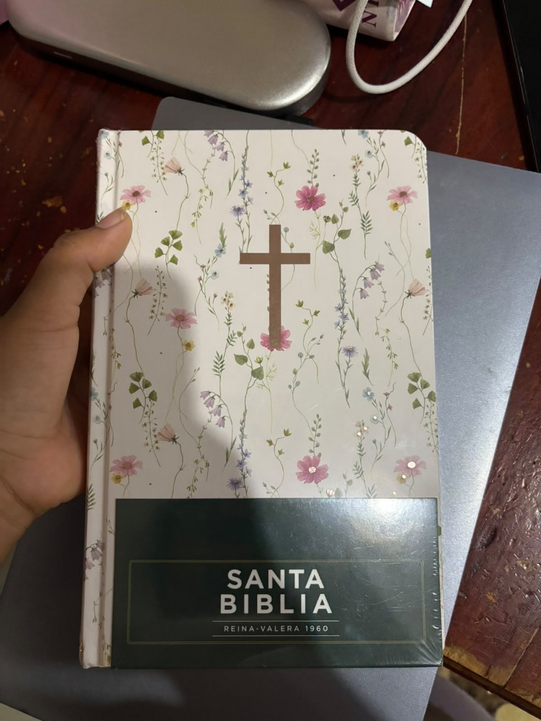 Santa Biblia Reina Valera 1960 – Visual con mapas mentales