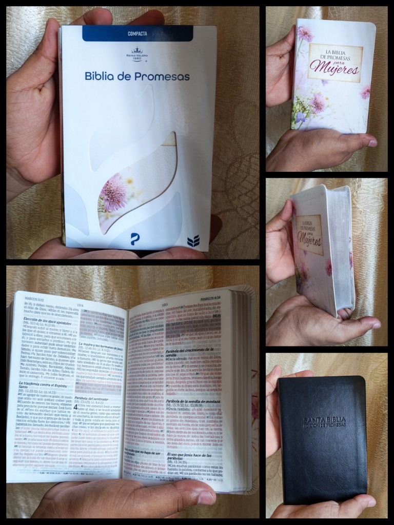 Biblia de Promesas RVR 1960  Compacta  /piel