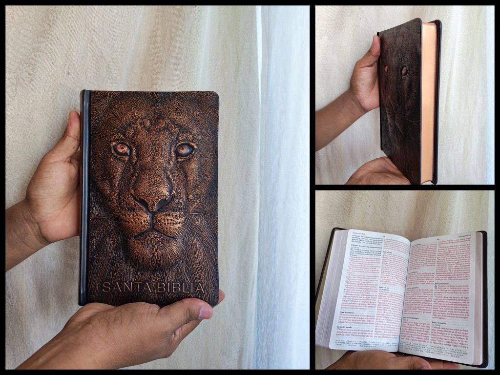 Biblia RVR 1960 Letra grande León de Judá edición especial bronce