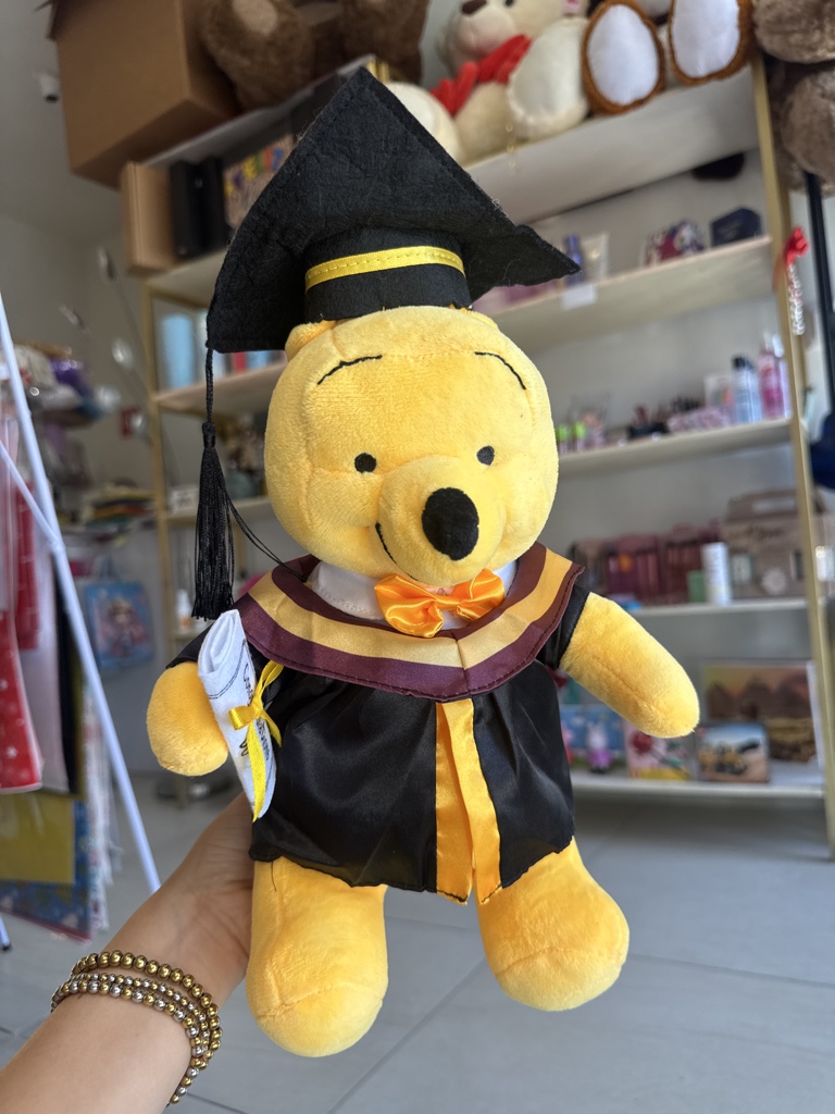 Winnie Pooh graduado