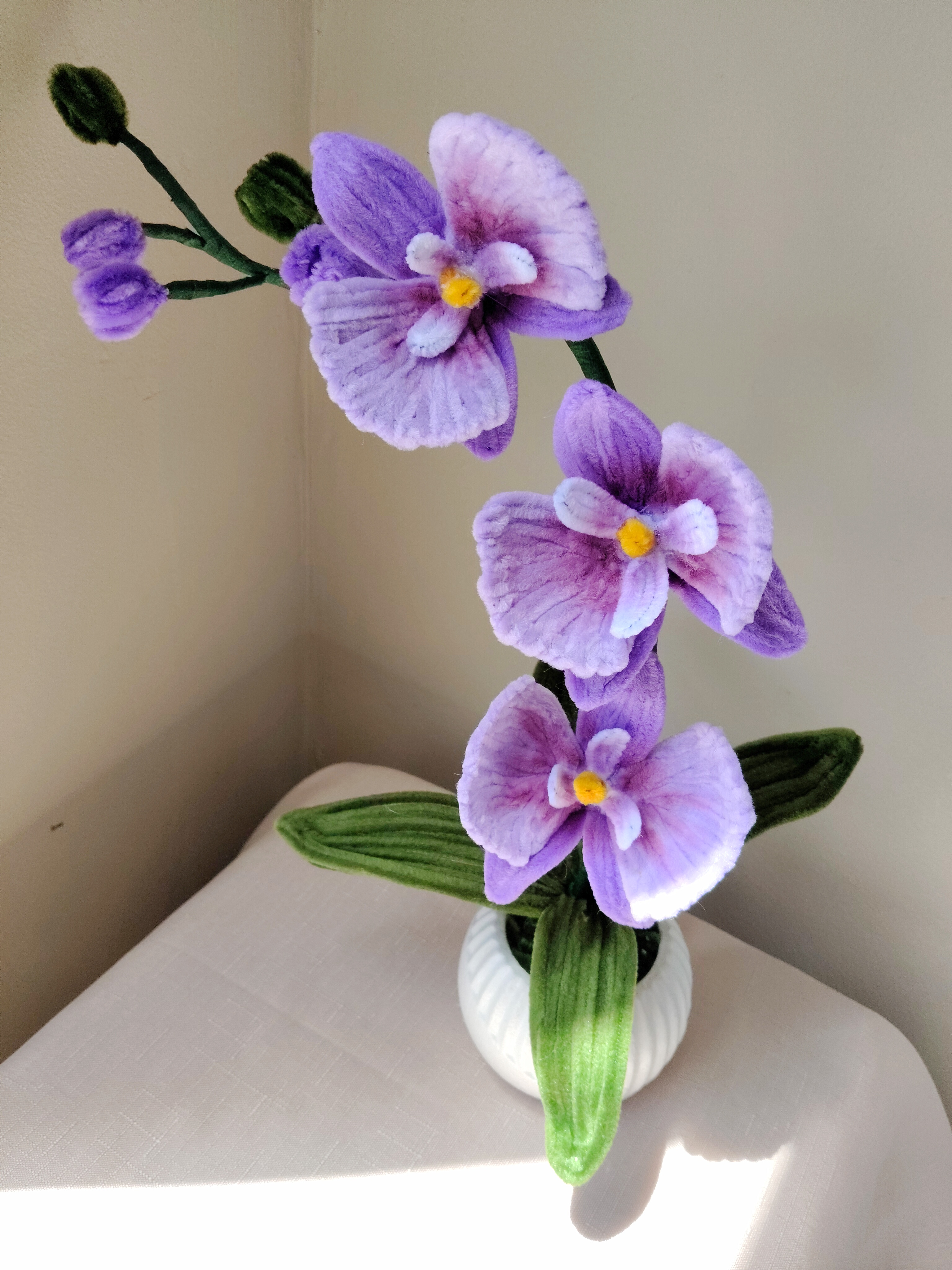Orquídea Morada