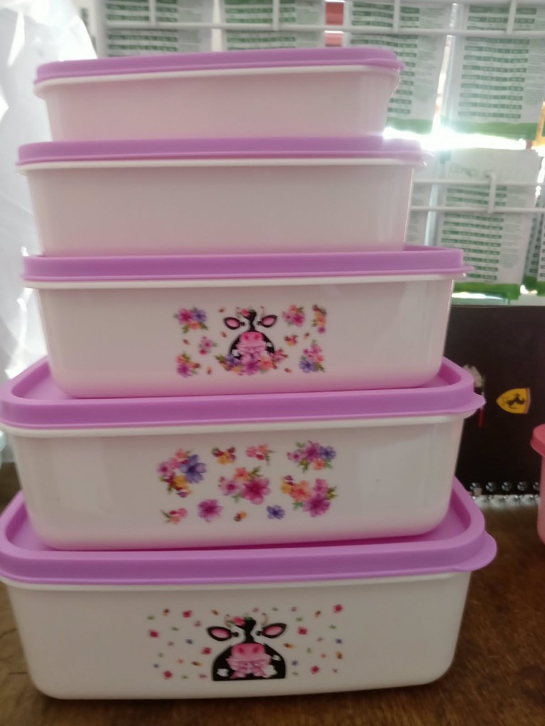 Recipientes rosas con tapa