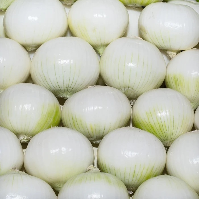 Cebolla blanca