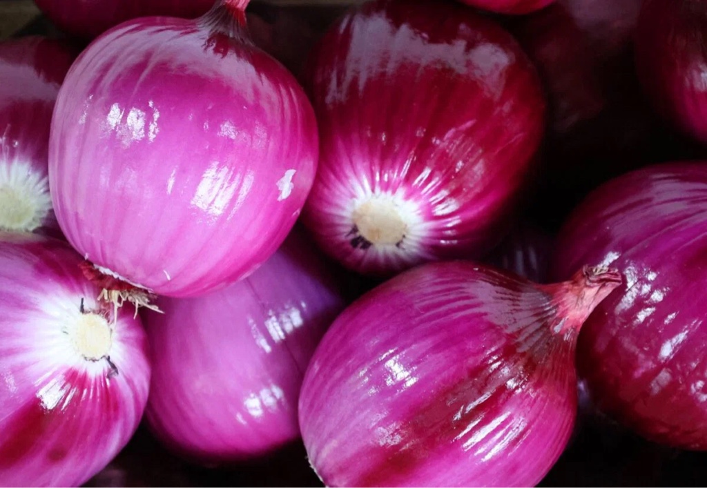Cebolla morada