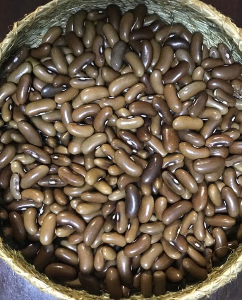 SEM. POROTO MAGNUM
