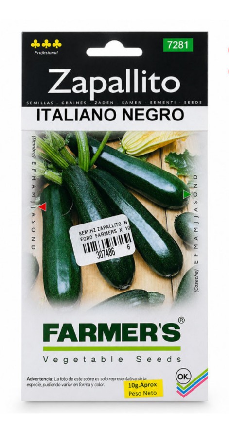 SEM. ZAPALLITO ITALIANO BLACK ZUCCHINI
