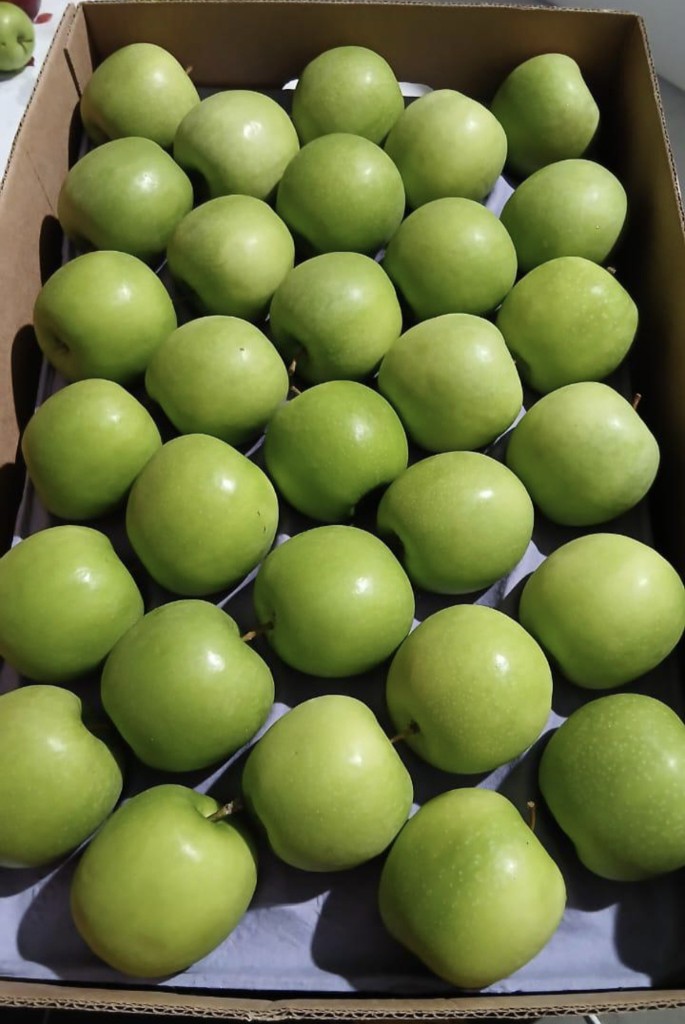 Manzana verde #100