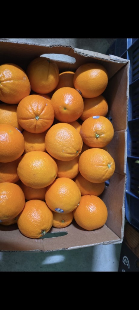 Naranja importada