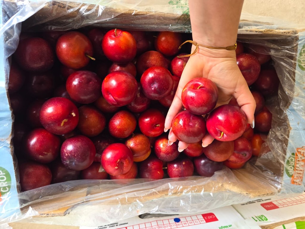 Ciruela Roja