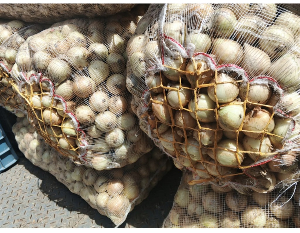 Cebolla redonda