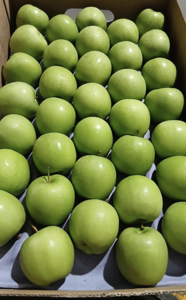 Manzana verde#113