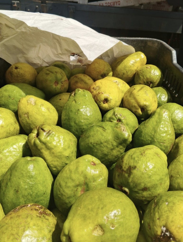 Guayaba