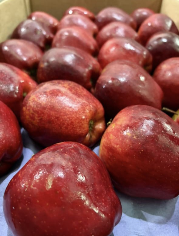 Manzana roja #88