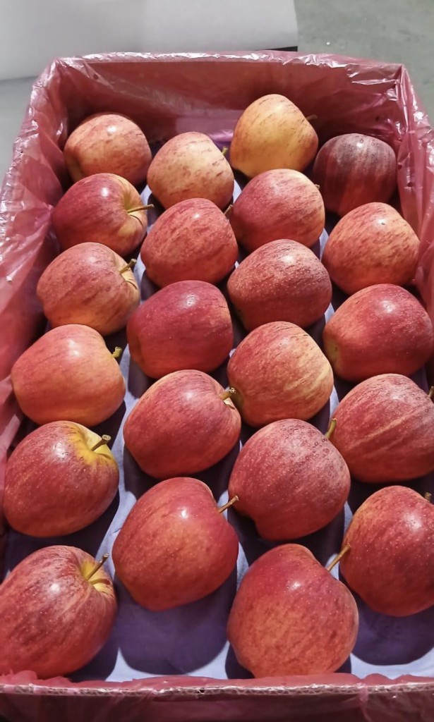 Manzana gala #100