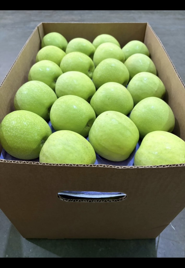 Manzana verde #88