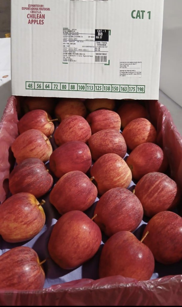 Manzana gala #113