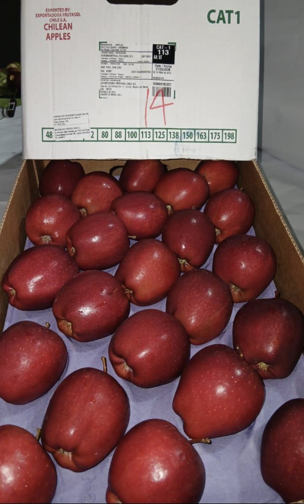 Manzana roja #113