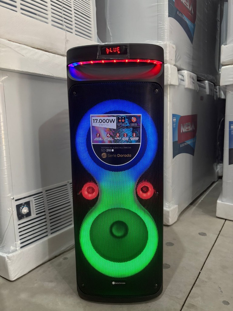 SISTEMA DE AUDIO SD-210