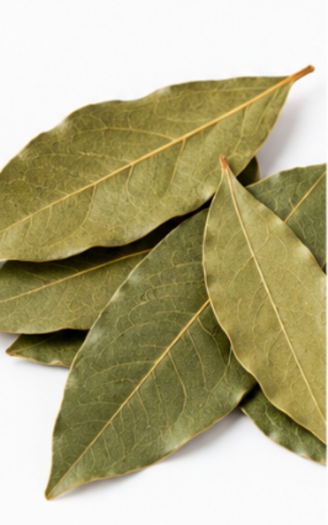 Laurel en Hoja