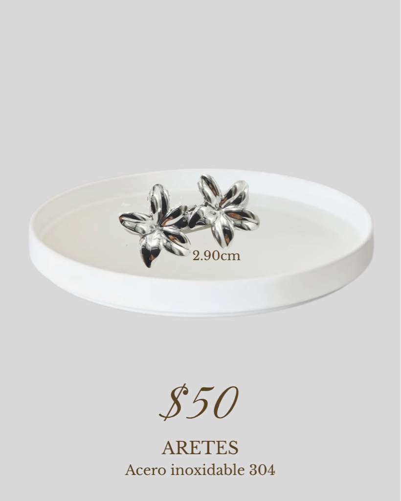 Aretes flor plata