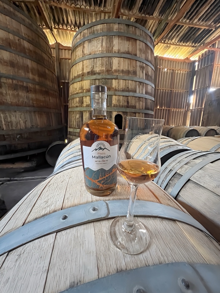 Pisco Añejando en Roble