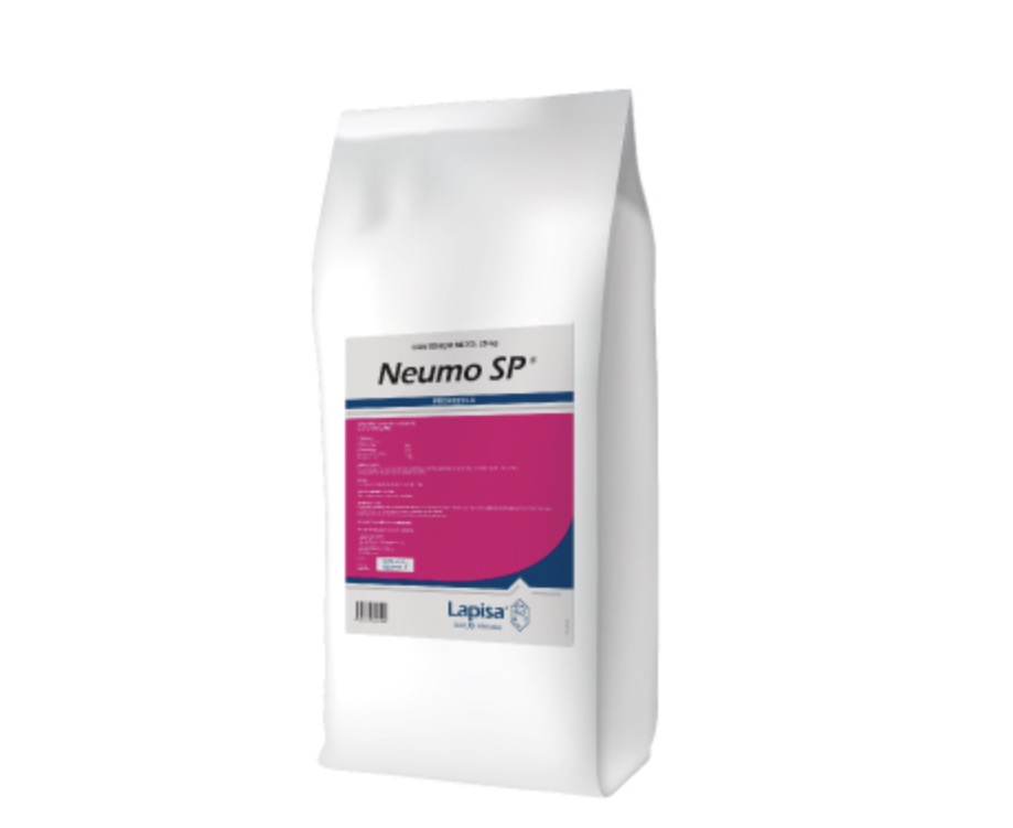 Neumo sp