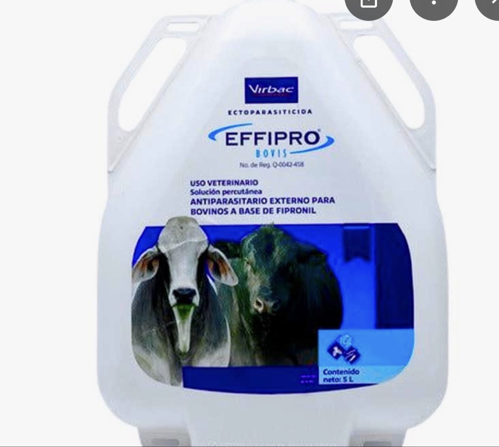 Efipro pur-on 5 lt.
