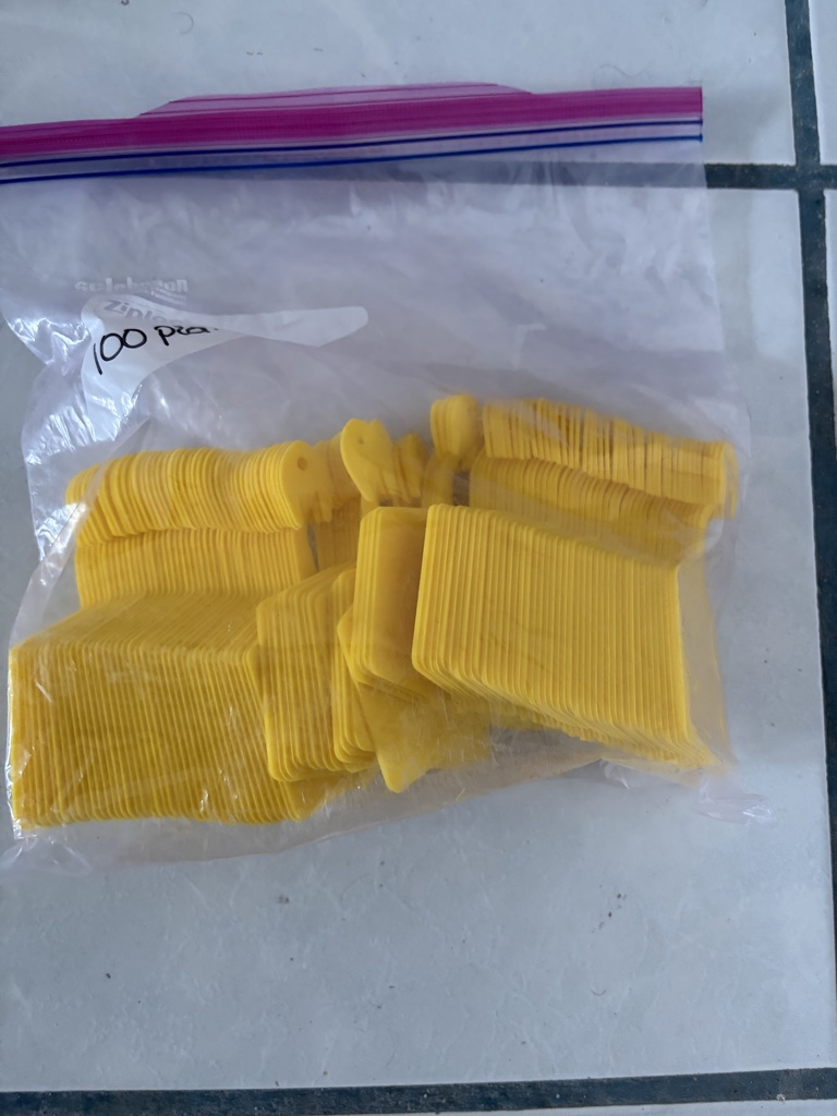 Arete amarillo