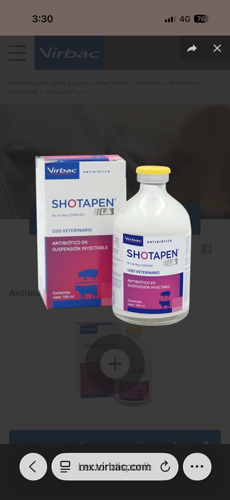 Shotapen L.A.