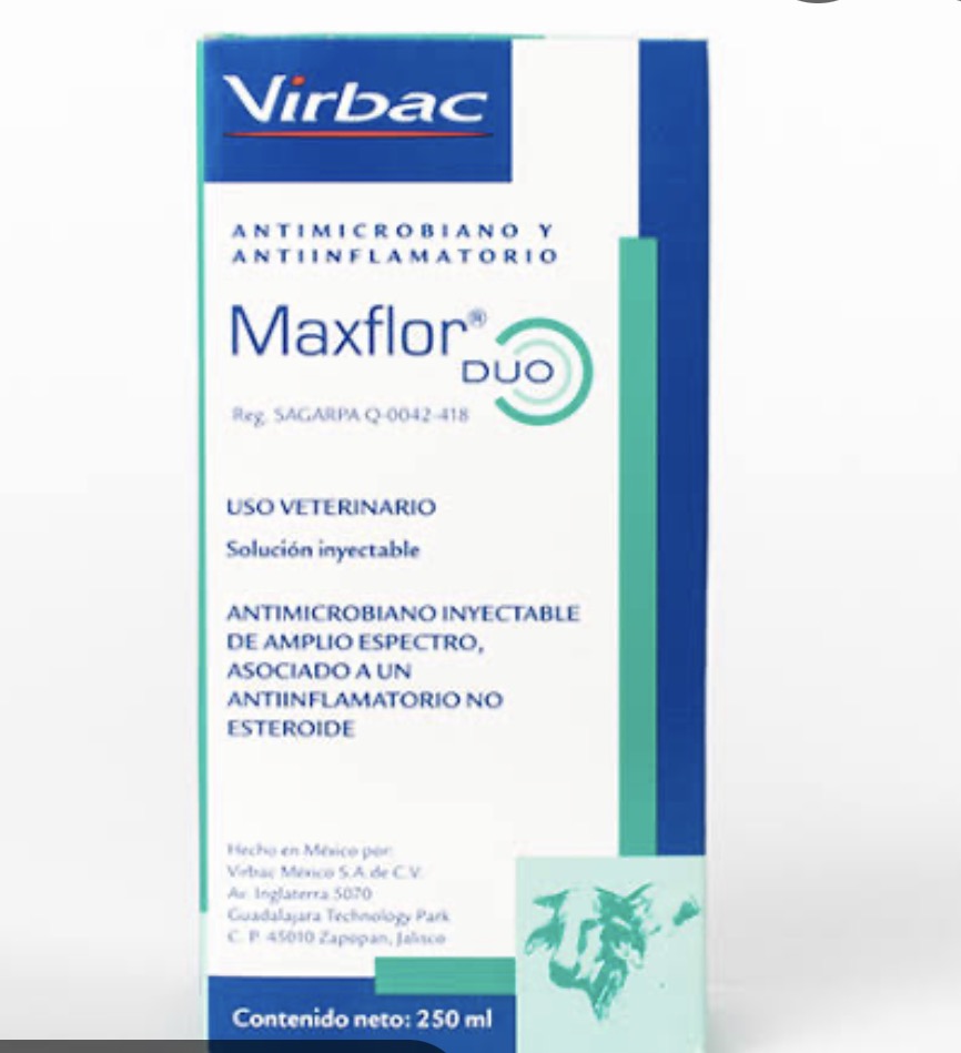 Maxflor Dúo  250 ml