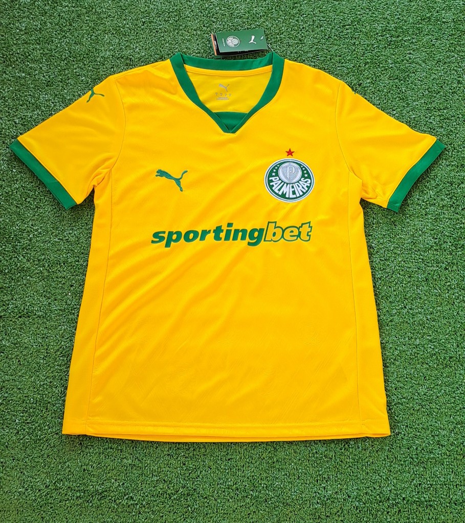 Camisa Palmeiras 2025 Third