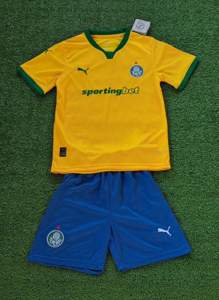 Camisa Palmeiras Infantil 2025 Third