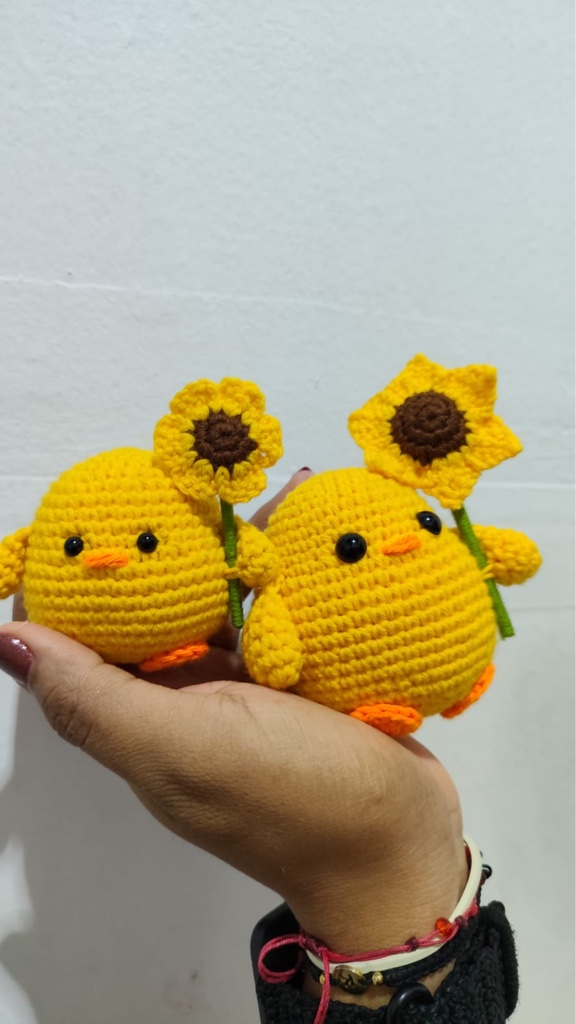 Pollito girasol