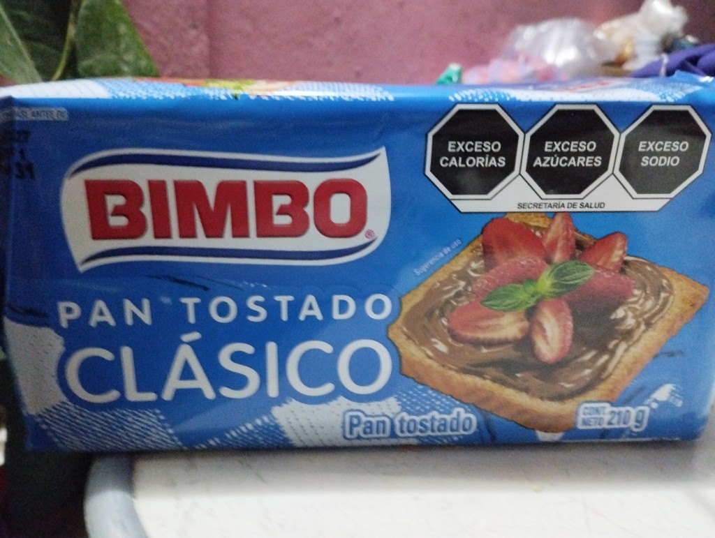 Pan tostado Clasico 210g
