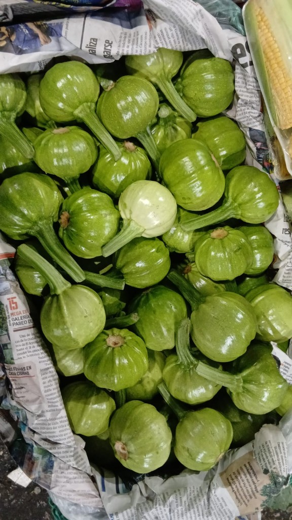 Guicoyitos tiernos