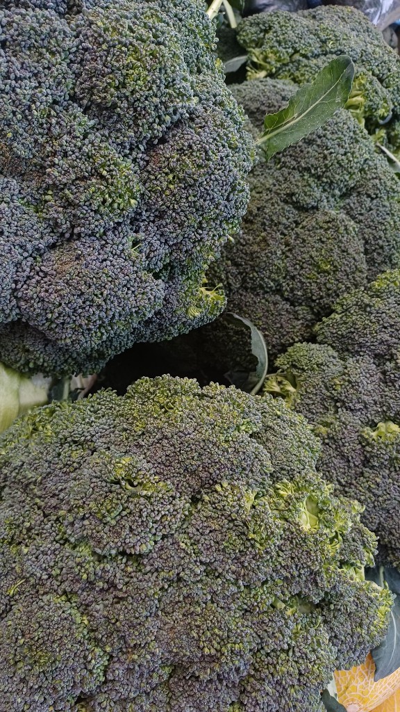 Brocoli