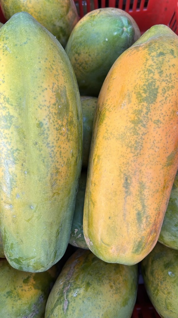 Papaya hawaiana unidad