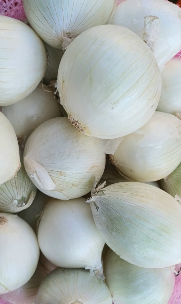 Cebolla blanca