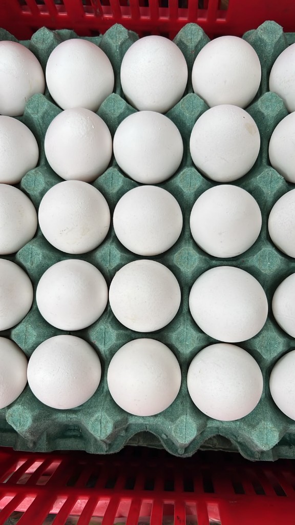Huevos.