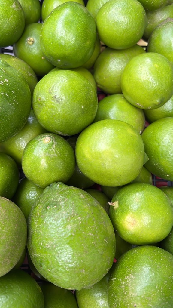 Limon persa