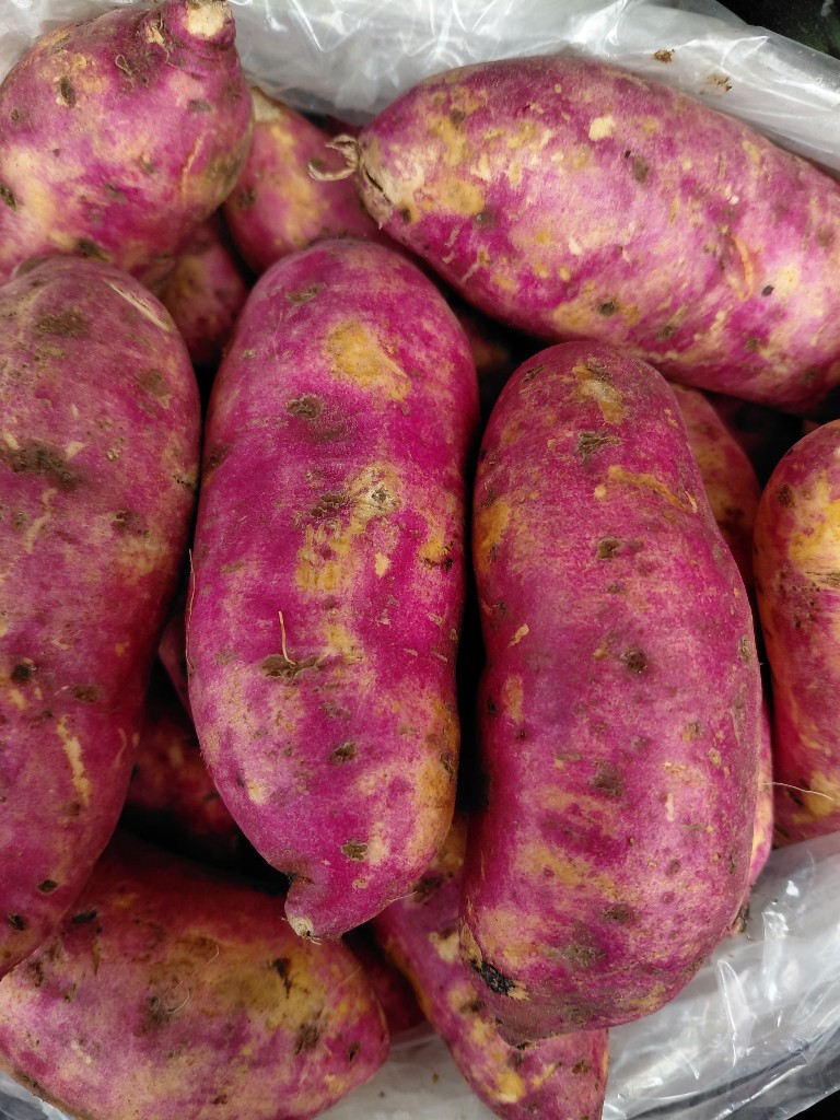 Camote libra