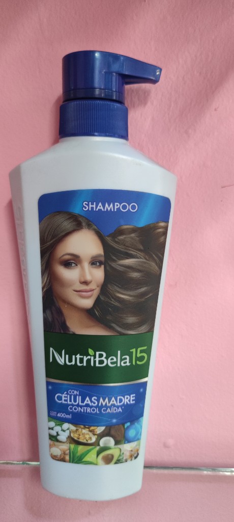 Sh células Madre