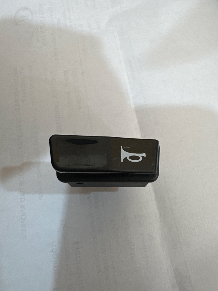 Botón de bocina