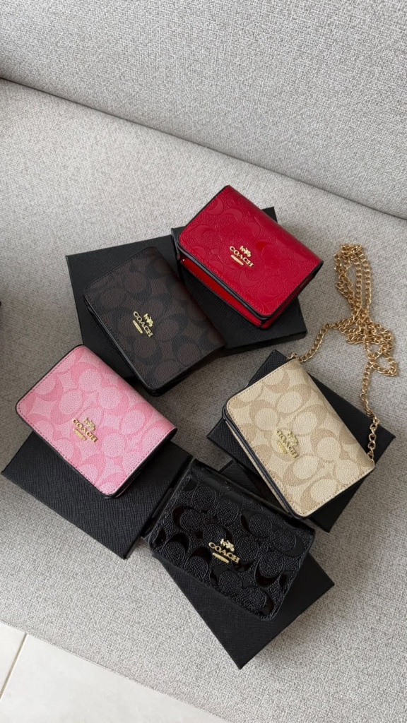 Mini Bag Coach