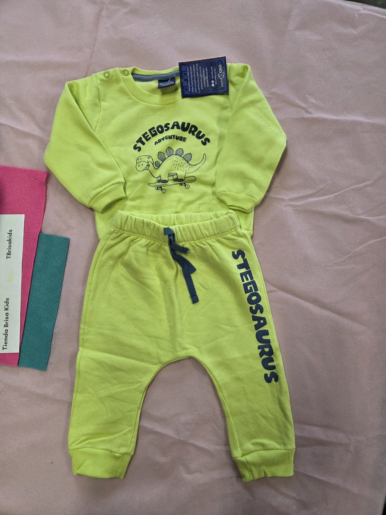 Conjunto Dino