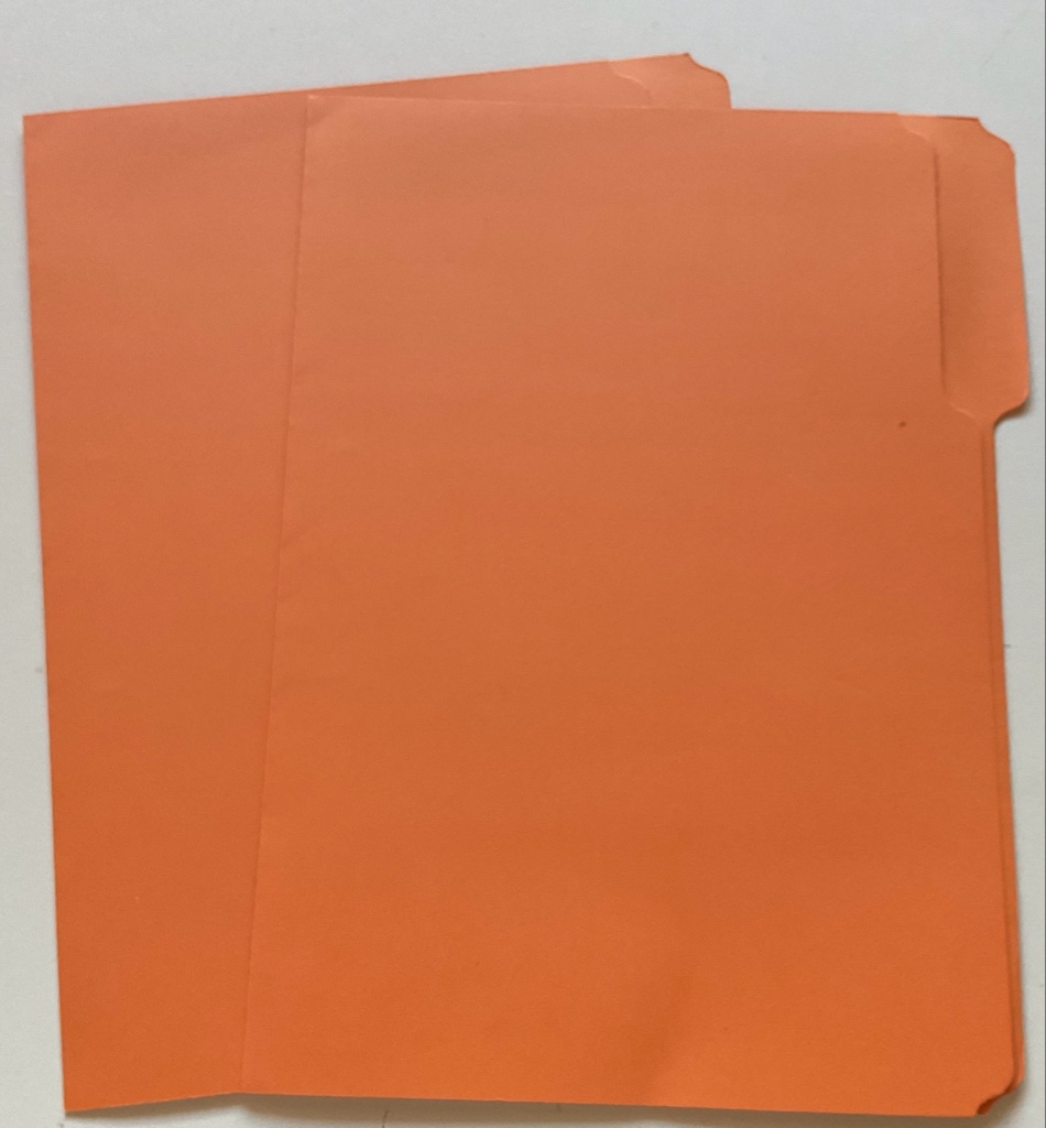 Carpeta naranja Manila